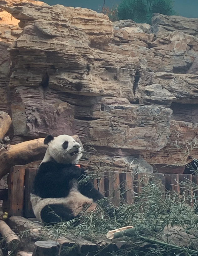 石家莊特種兵旅行，二十個景點根本逛不完！