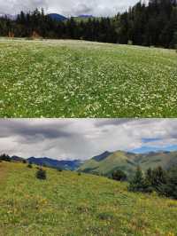 冰川與花海，這才是川西之夏封神的地方