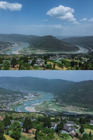 隨著四月的花瓣雨