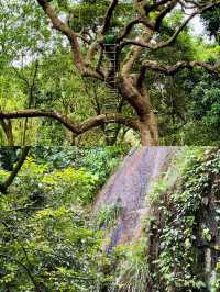 發現廣州版塞爾達森林這地方藏得夠深啊