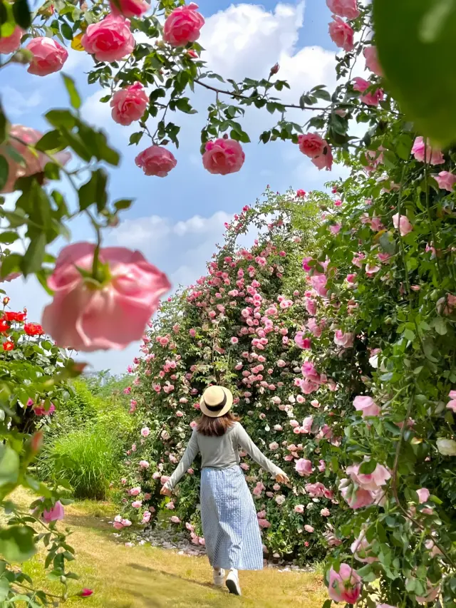 Where is the Princess's Back Garden in Chengdu in May?