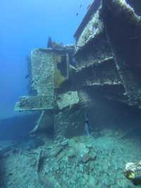 藍薊花號沉船|當我踏上80年前的二戰戰場