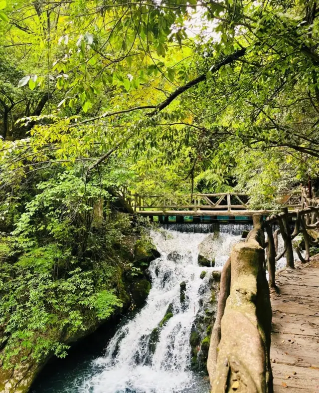 Help! A hidden gem for travelers, Yaozhi River!