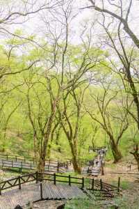 安徽小眾徒步好去處，皇藏峪國家森林公園
