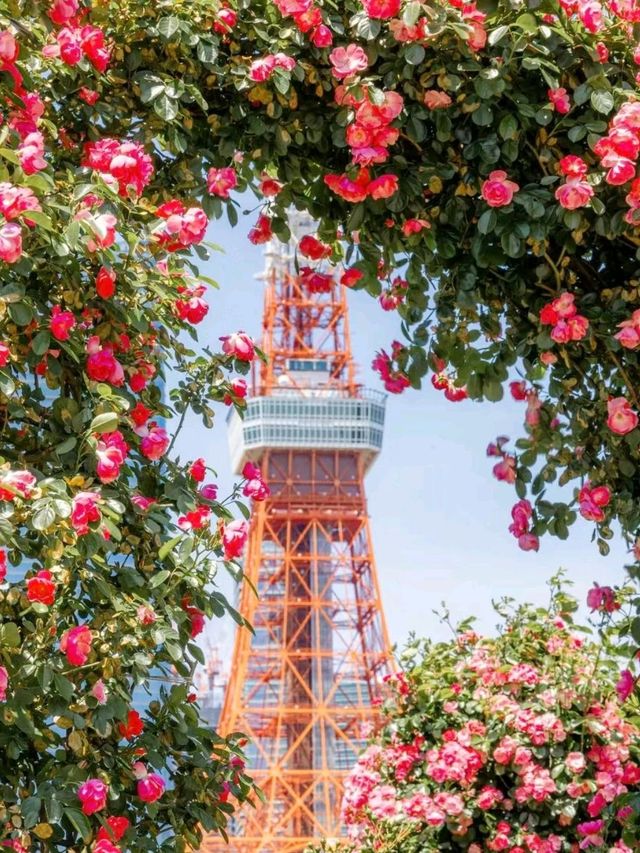 Beautiful Tokyo Tower worth visiting😘