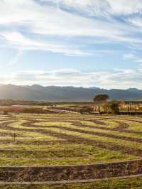 🍇🏨 Cape Winelands' Cozy Retreat Haven 🌿✨