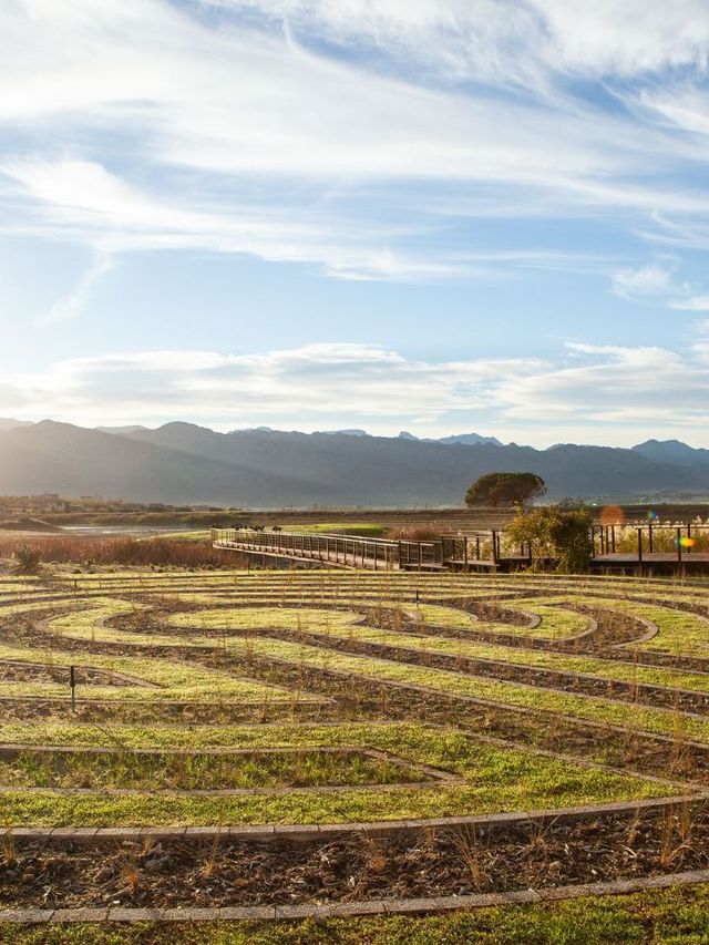 🍇🏨 Cape Winelands' Cozy Retreat Haven 🌿✨