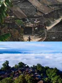 【景迈山】有五片栽培型古茶林