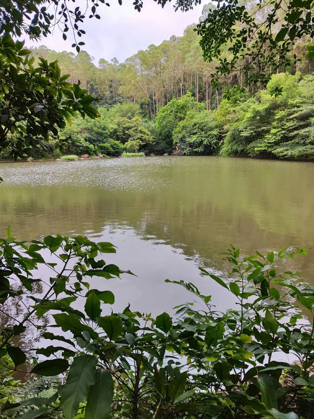 水濂山是東莞六大森林公園之一