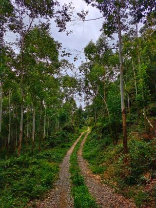 Mashi Village, Xuyang Town, Rong County, Zigong City, Sichuan Province is a microcosm of a beautiful countryside