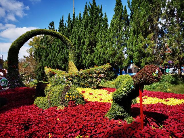 東平國家森林公園是華東地區最大人工森林