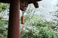 來冷門的瑪瑙寺，賞台灣工藝歷史