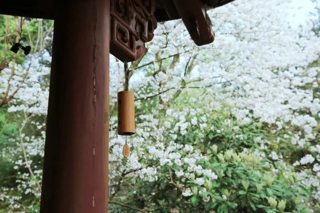 來冷門的瑪瑙寺，賞台灣工藝歷史