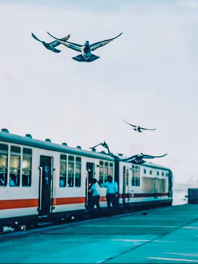 科倫坡｜千與千尋裡的小火車