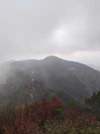 放鬆仙境——大陽山國家森林公園