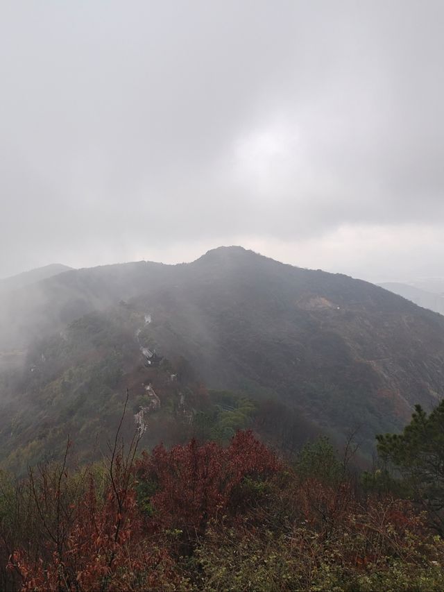 放鬆仙境——大陽山國家森林公園