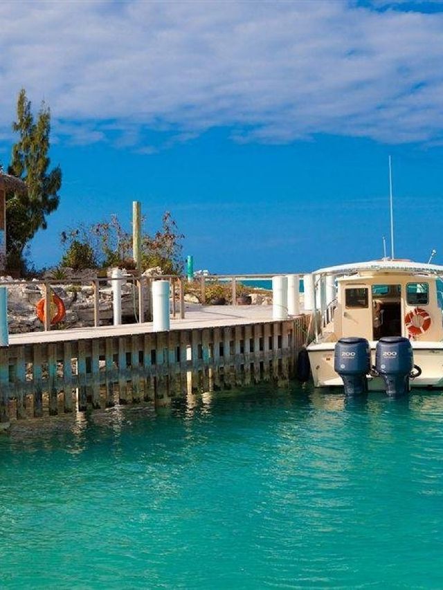 🌴🛏️ Top Stay in Turks & Caicos: Luxe Beachfront Bliss 🌊