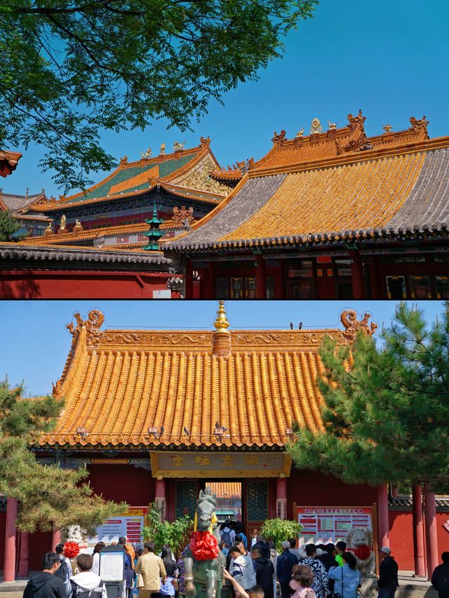 一座被嚴重低估的省會旅遊勝地：呼和浩特