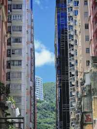從香港剛回來 暑假遛娃游看這裡