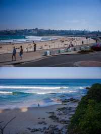 This Sydney coastal walk traverses six eastern beaches🏖️ in the region.