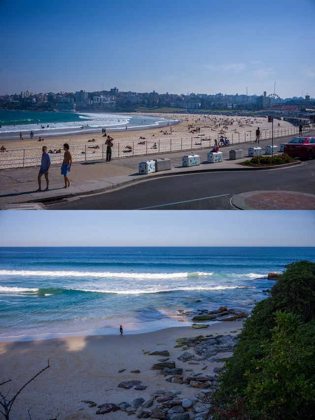 This Sydney coastal walk traverses six eastern beaches🏖️ in the region.