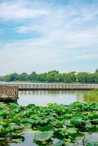 青浦也有五大湖,串珠成線,一文總結清楚