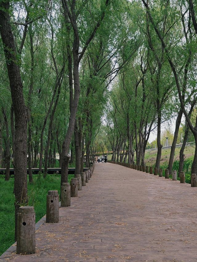 江蘇南京｜魚嘴濕地公園。