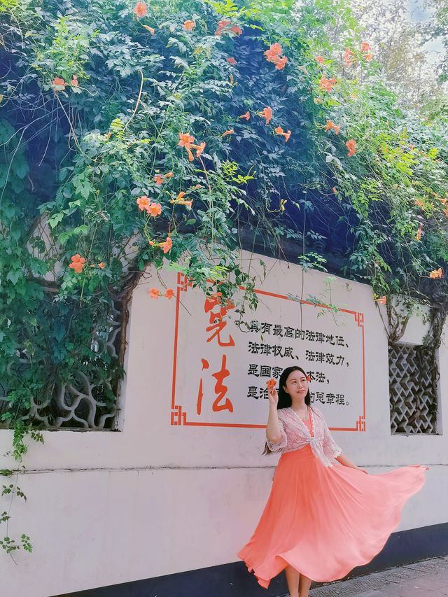 盛開的凌霄花,驚艷了整個夏天。