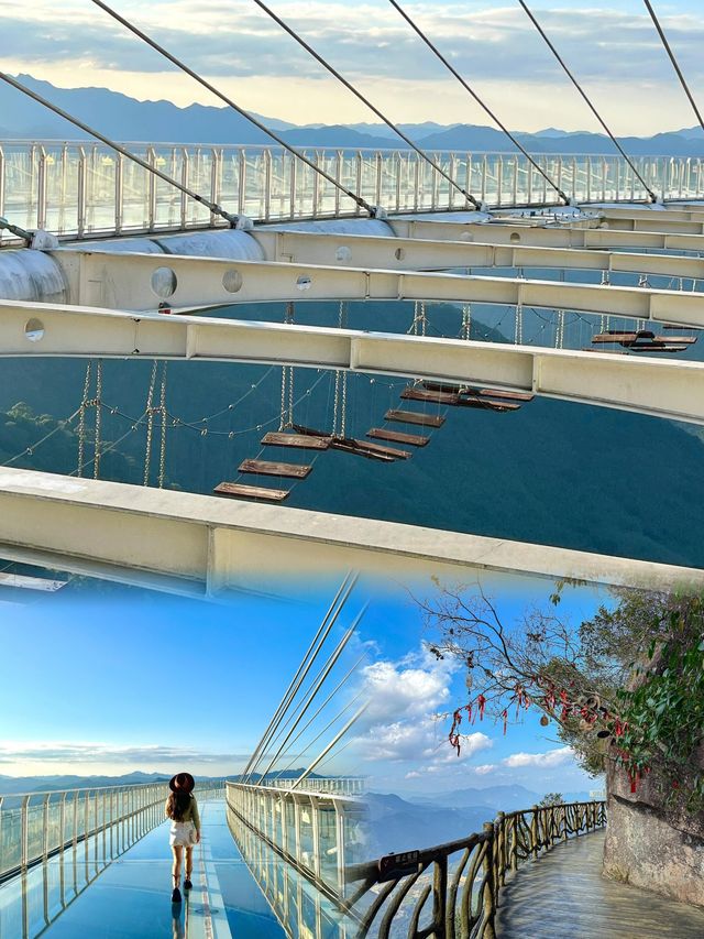 在福建後悔冇早啲嚟。