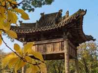 常家莊園簡介