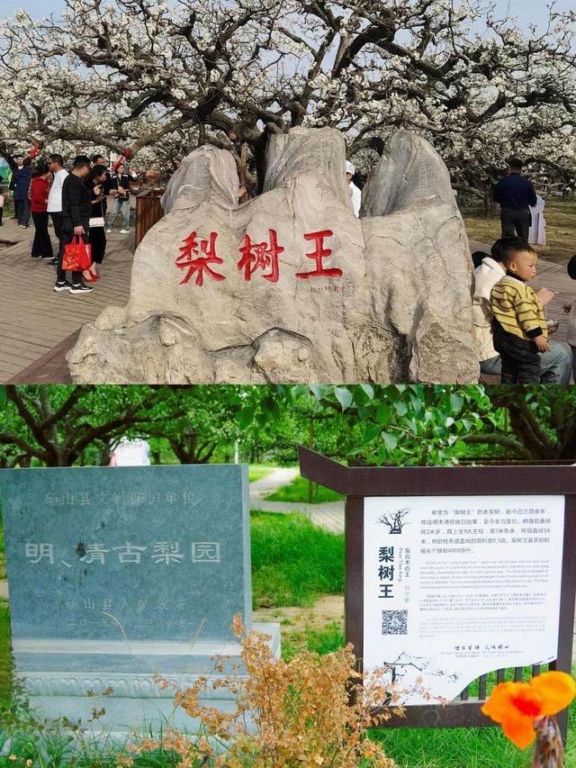 宿州。