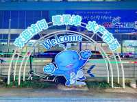 Noryangjin Fisheries Wholesale Market 🐟🍤🍣🇰🇷