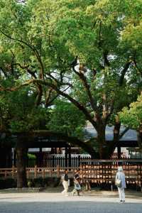 以為名古屋已經夠美了，直到我來了熱田神宮。