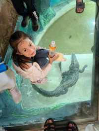 秦嶺野生動物園。