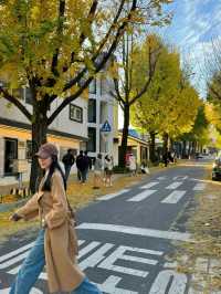 Sanqingdong, South Korea to experience the atmosphere of autumn