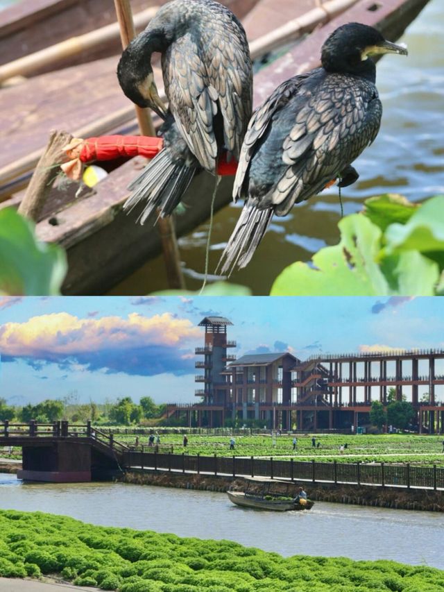 國慶反向遊｜江蘇這個被低估的寶藏旅遊城市。
