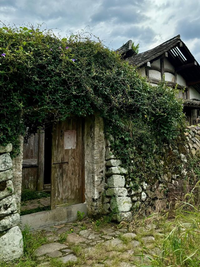 漂亮得讓我感動的浙江農村。 漂亮得讓我感動的浙江農村。