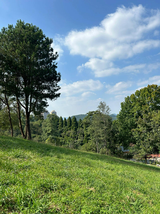 貴陽森林公園 | 免費的充電地。