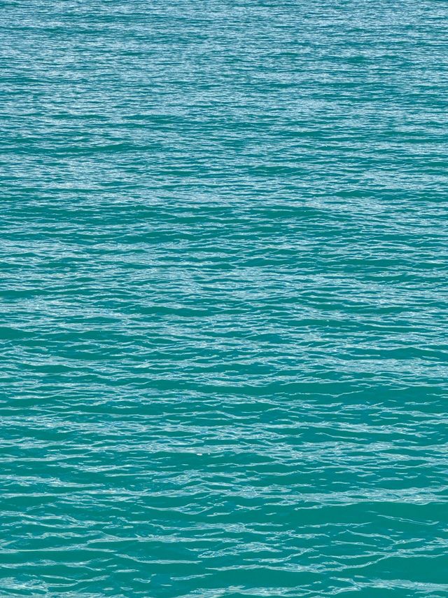 西藏班公湖｜一半鹹水 一半淡水湖。