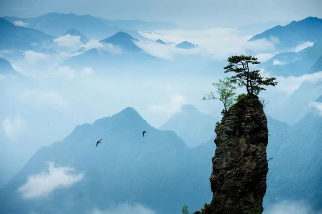 萬源！申請做你的旅行第一志願。
