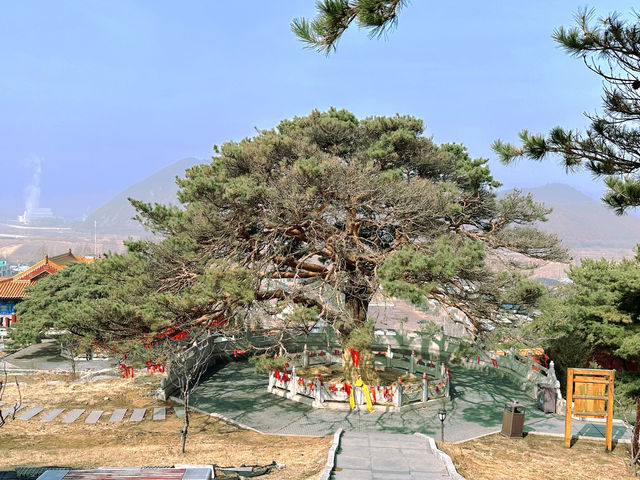 延吉·東來寺 | 一場心靈的禪意之旅。