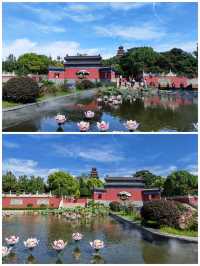 環魯自駕遊丨微山湖望湖塔。