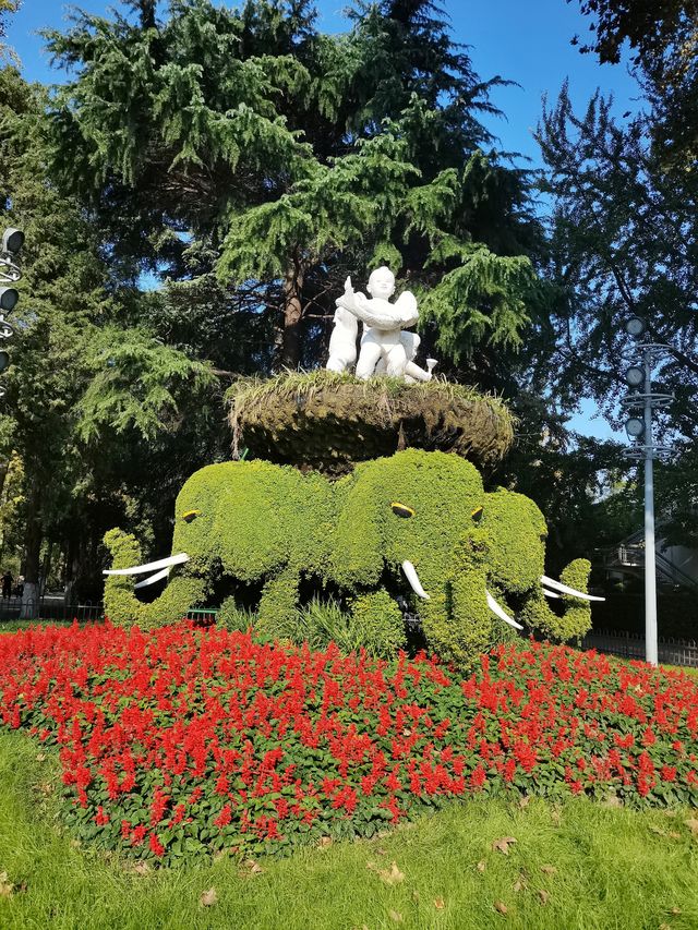 玄武湖公園不愧是南京賞秋頂流，關鍵還是。