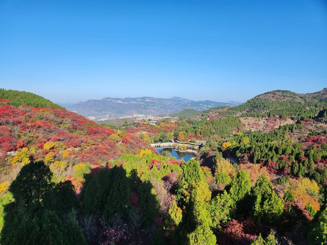 濟南紅葉谷 | 打翻秋日調色盤。