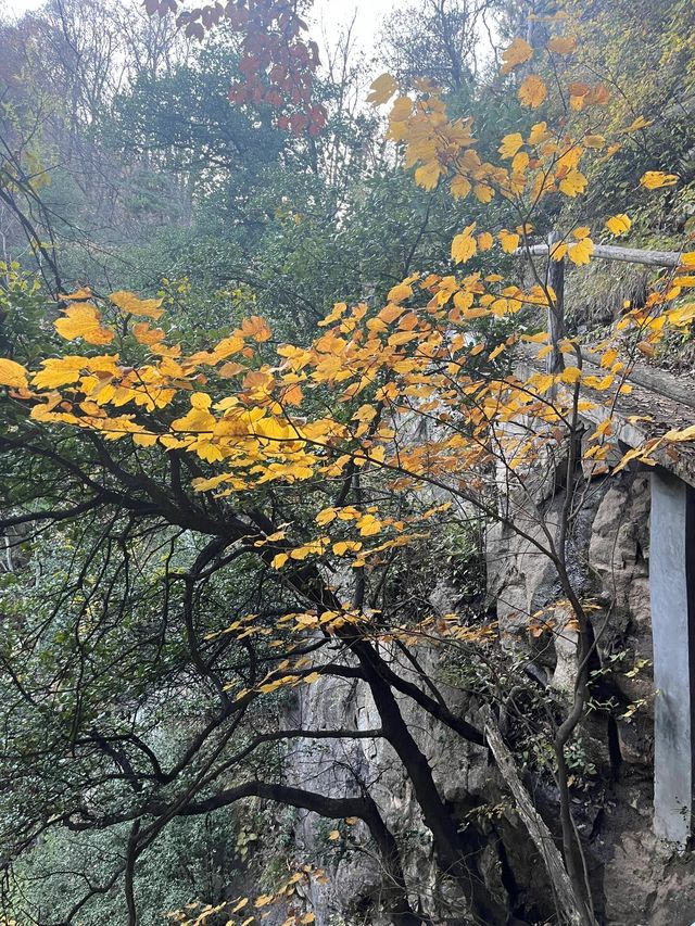 祥峪森林公園|小眾景點|體驗感好。