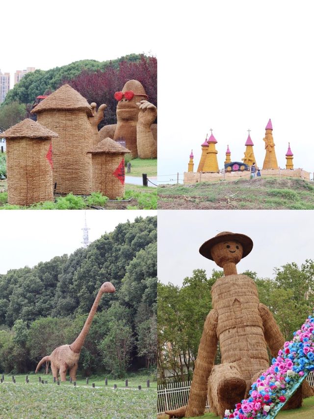 親子秋遊／陽澄湖半島田園遛娃攻略。