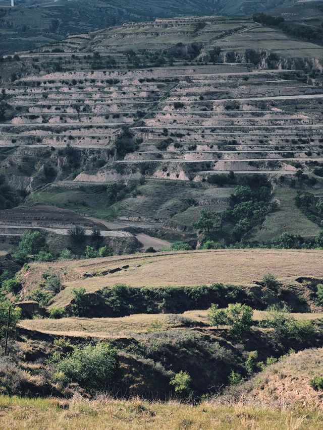 絕美之地——老牛灣黃河大峽谷旅遊區。