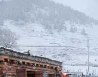 川西雪國夢境!甲根壩初冬風光太美了|。