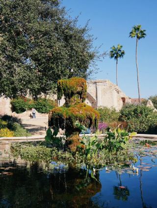 Around La Jolla | You must visit this photogenic garden. 