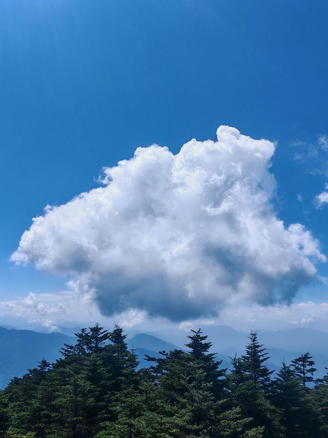 峨眉山5日遊 玩轉全山不重樣。